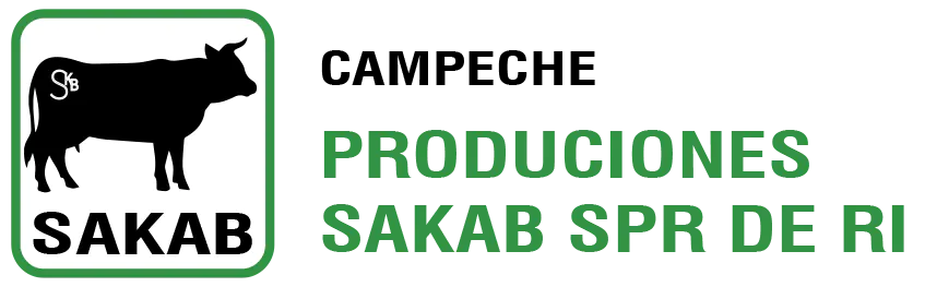 Producciones Sakab